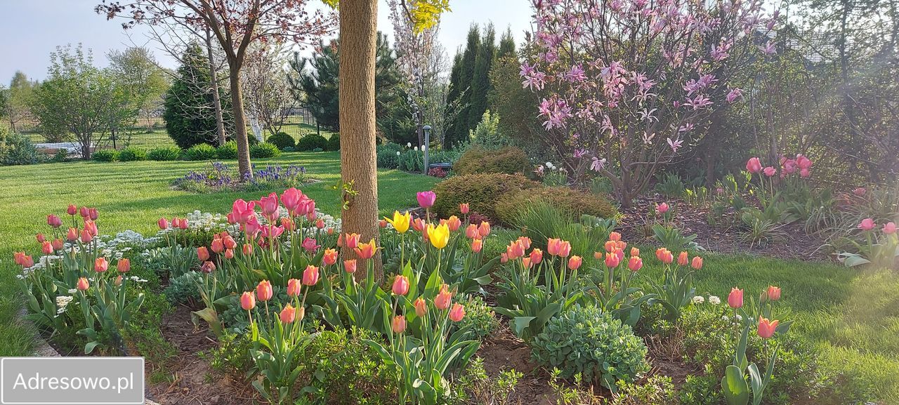 dom wolnostojący, 5 pokoi Oleśniczka. Zdjęcie 6