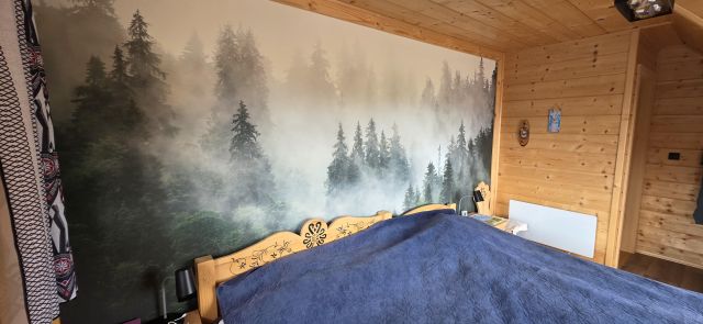 dom wolnostojący, 4 pokoje Zawoja Wełcza. Zdjęcie 12