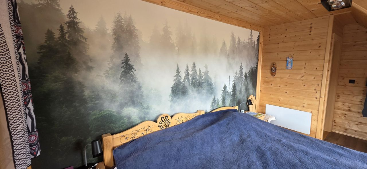 dom wolnostojący, 4 pokoje Zawoja Wełcza. Zdjęcie 12