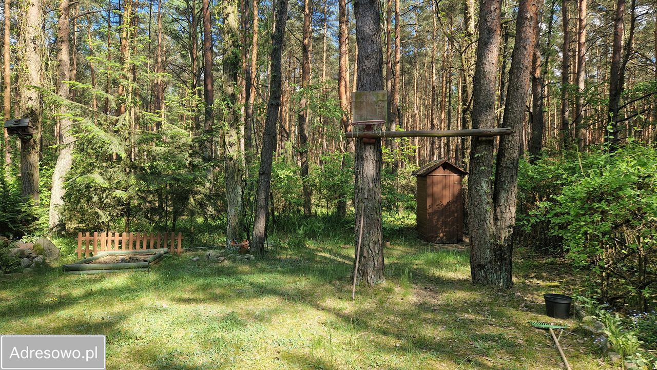 Działka leśna Rokitnica, ul. Gucińska. Zdjęcie 16