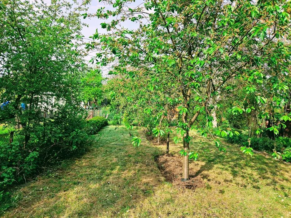 Działka rod Michałów-Reginów, ul. Warszawska. Zdjęcie 6