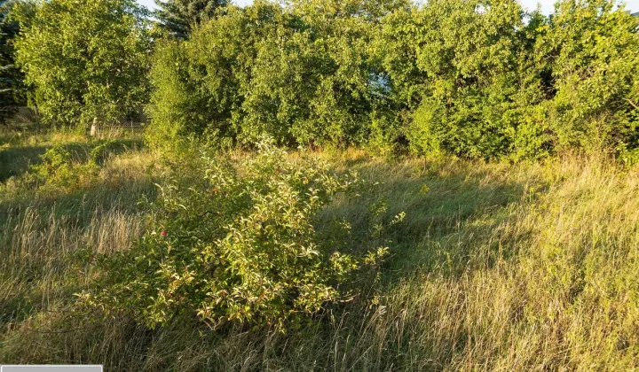 Działka budowlana Wysogotowo, ul. Pszenna