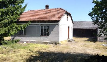 gospodarstwo Złota