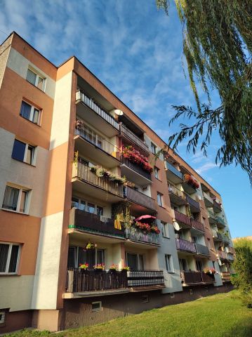 Mieszkanie 3-pokojowe Ciechanów. Zdjęcie 1