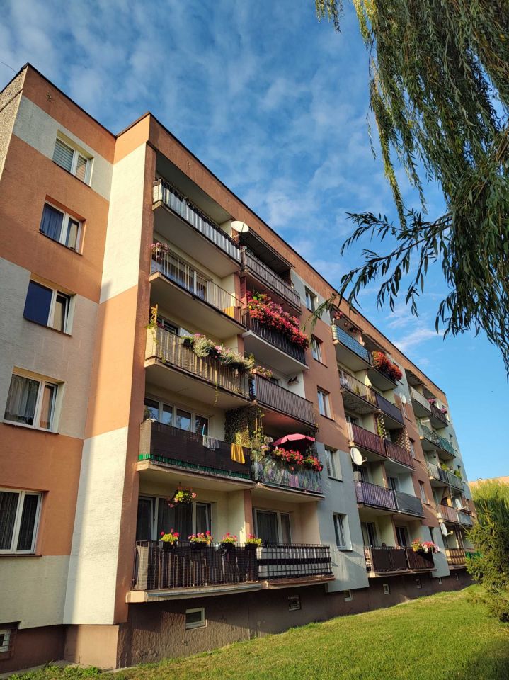 Mieszkanie 3-pokojowe Ciechanów