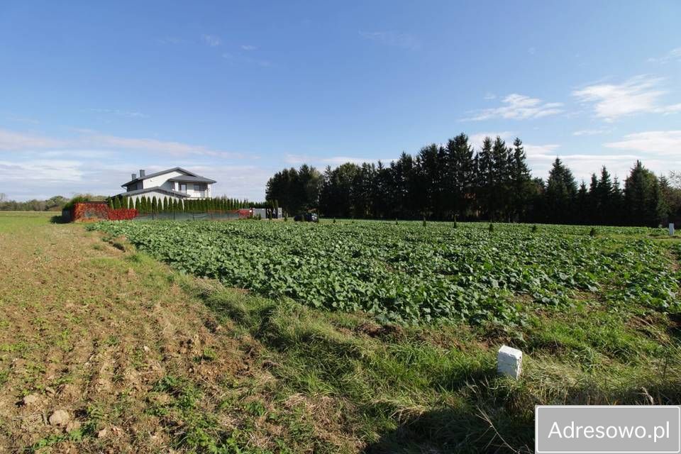 Działka budowlana Zemborzyce Dolne. Zdjęcie 3