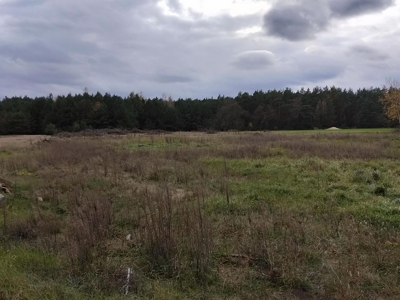 Działka budowlana Zabiełłów. Zdjęcie 3