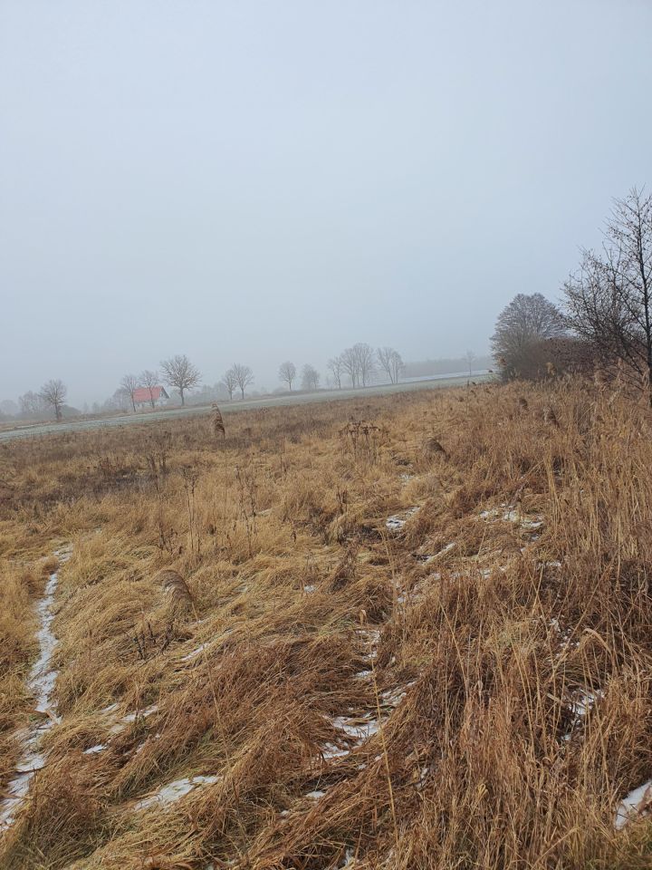 Działka rolno-budowlana Żenichów. Zdjęcie 6