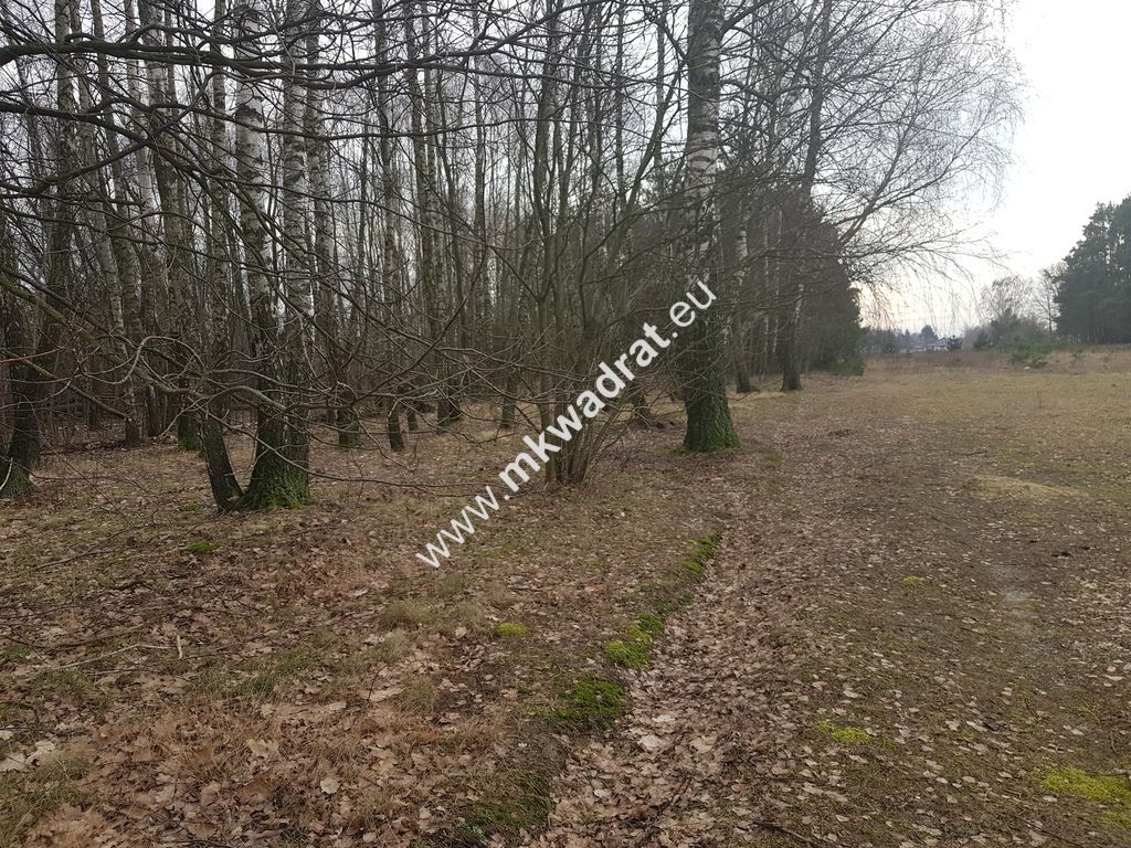 Działka budowlana Kaleń. Zdjęcie 5