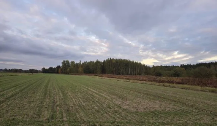 Działka rolno-budowlana Krzywica