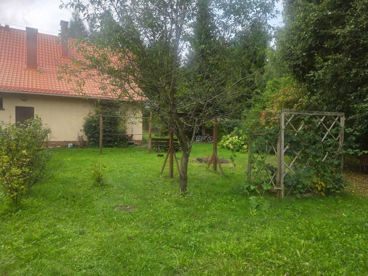 Zdjęcie 6