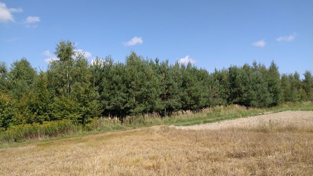 Działka rolna Trawniki. Zdjęcie 1