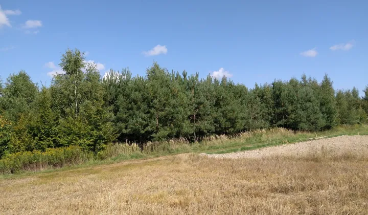 Działka rolna Trawniki