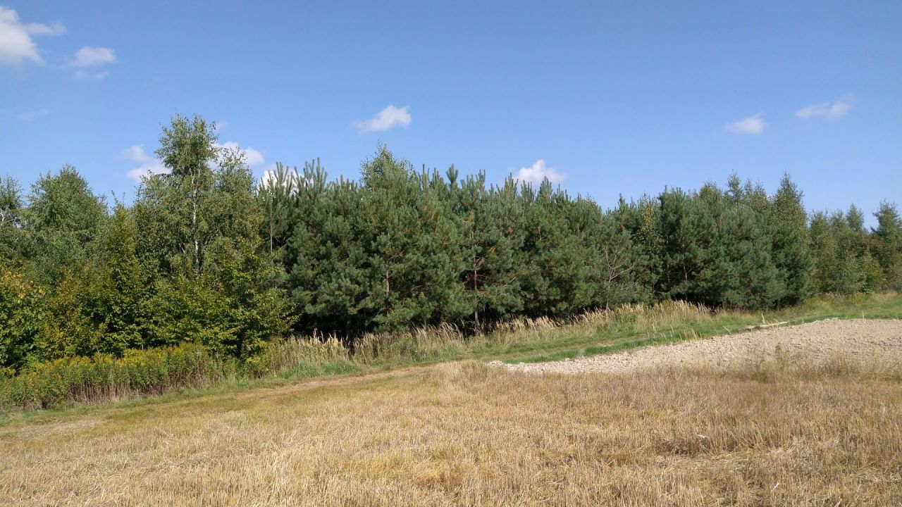 Działka rolna Trawniki