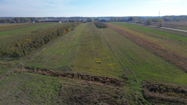 Działka rolna Wola Prażmowska. Zdjęcie 4