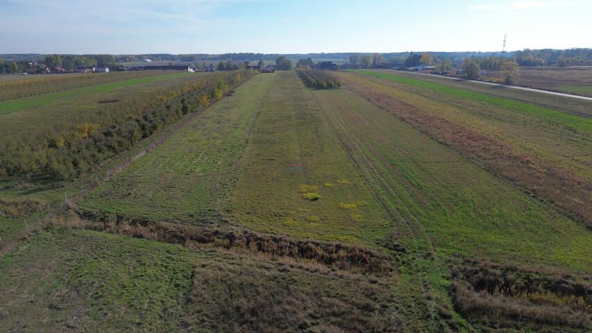 Działka rolna Wola Prażmowska. Zdjęcie 4