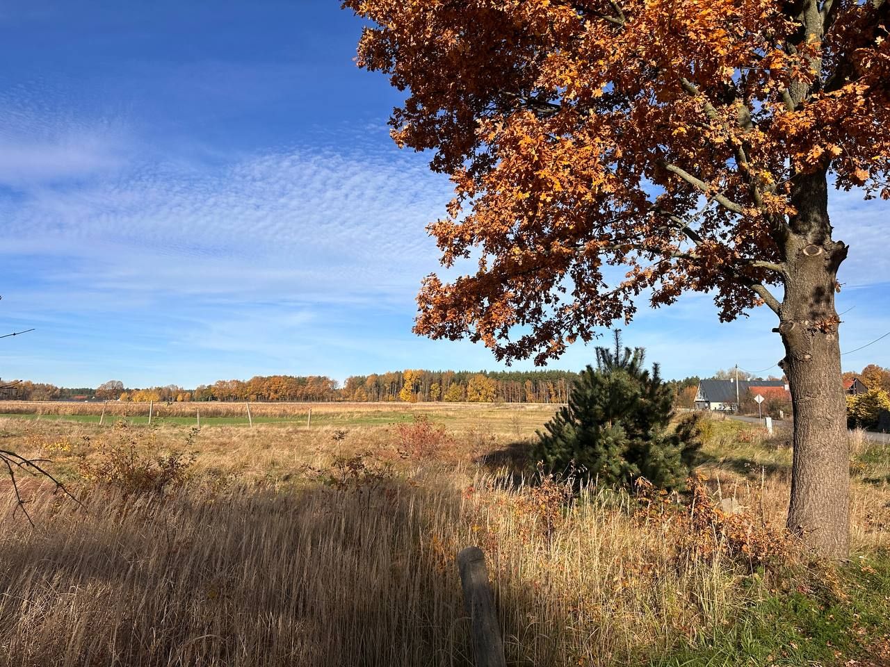 Działka budowlana Chudzowice. Zdjęcie 5