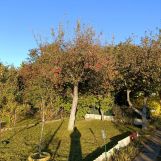 Działka rod Trzebiatów, ul. Dworcowa. Zdjęcie 1