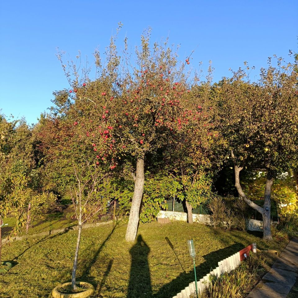 Działka rod Trzebiatów, ul. Dworcowa. Zdjęcie 2