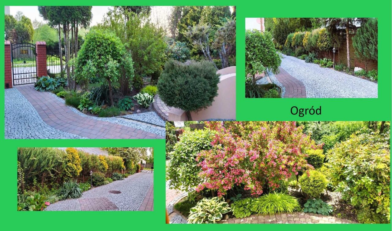 dom wolnostojący, 4 pokoje Strachosław. Zdjęcie 5