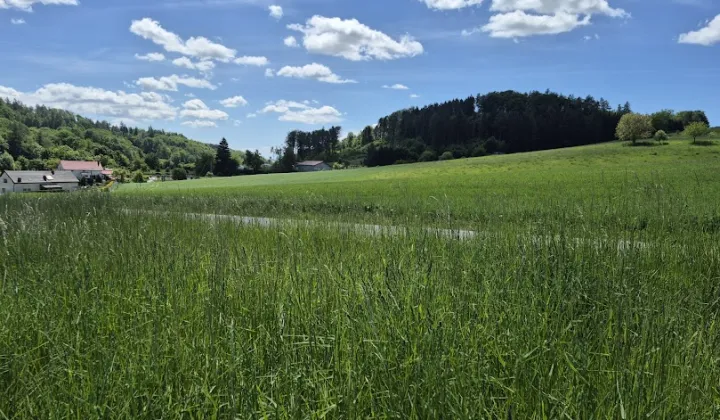 Działka budowlana Dzikowiec, Kolonia