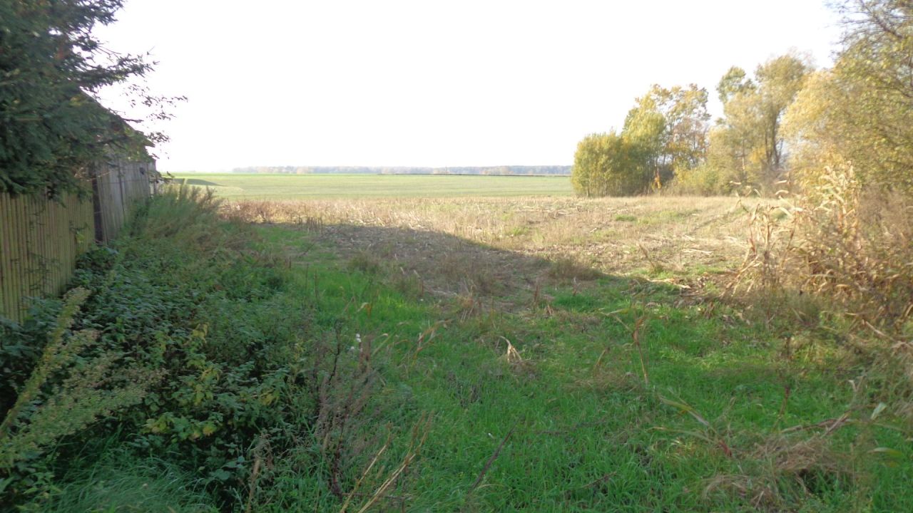 Działka rolno-budowlana Teremiec. Zdjęcie 9