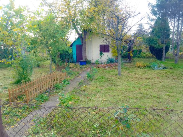 Działka rod Wrocław Gaj, ul. Morwowa. Zdjęcie 1