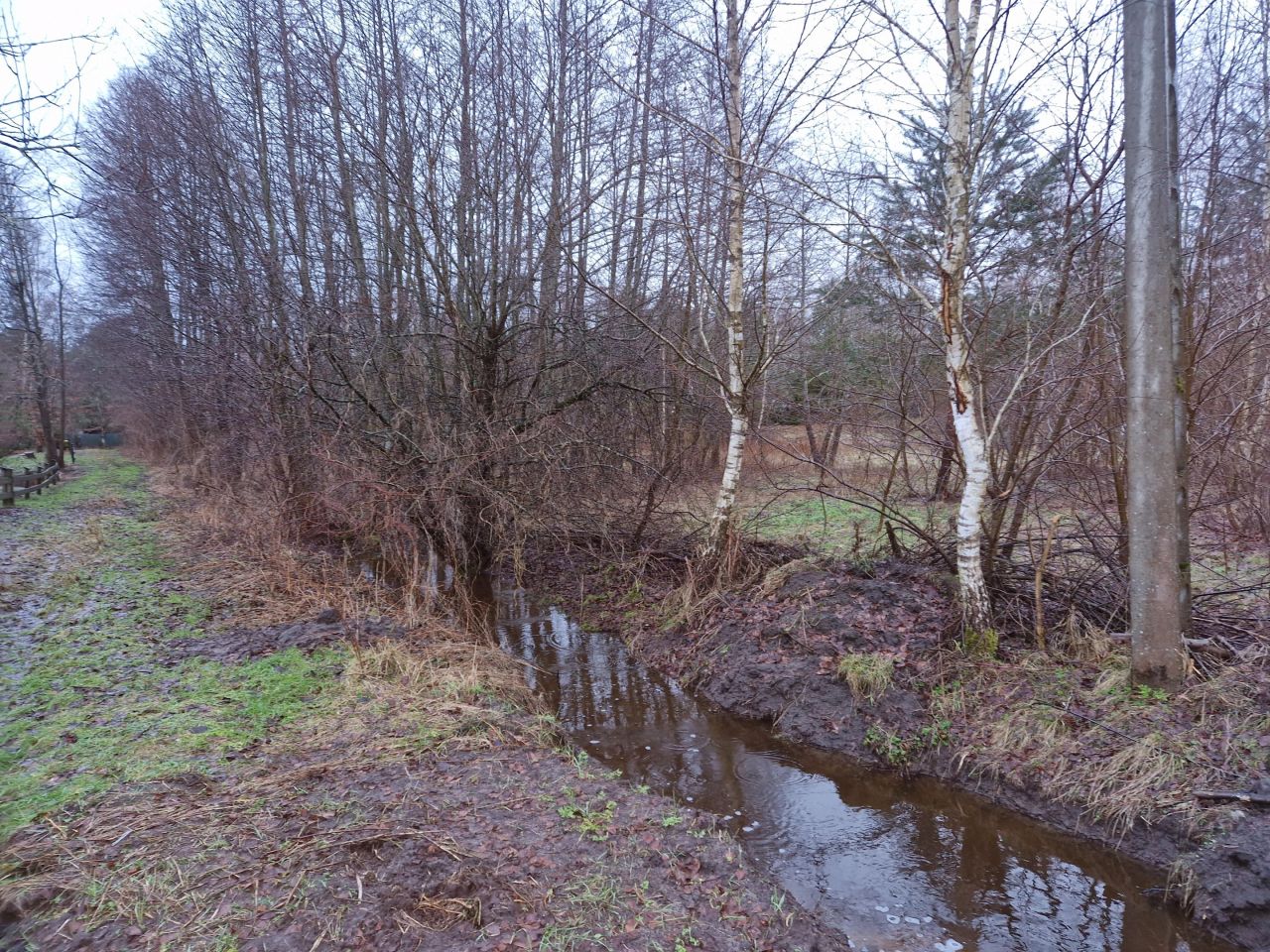 Działka budowlana Bartoszylas. Zdjęcie 9