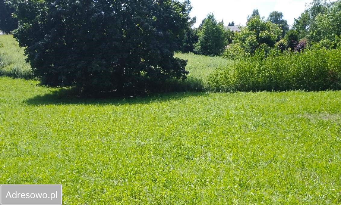 Działka rolna Konopnica. Zdjęcie 2