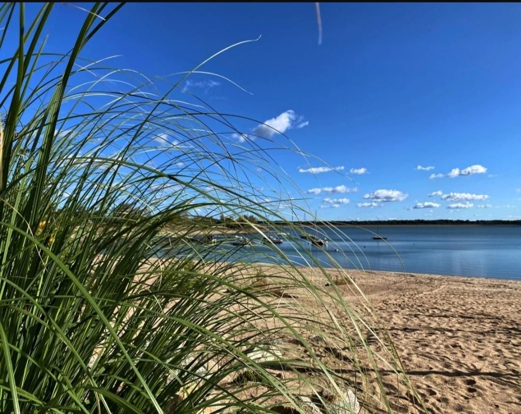 Działka budowlana Borzygniew, ul. Letniskowa. Zdjęcie 10