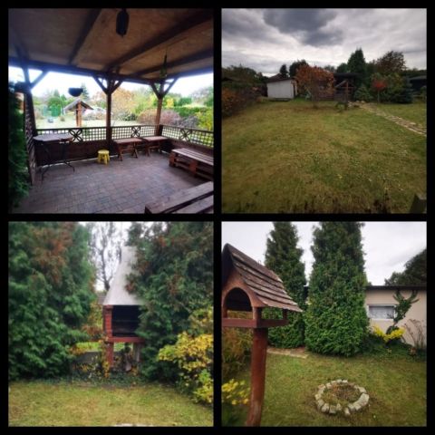 Działka rod Dąbrowa Górnicza, ul. Marii Konopnickiej. Zdjęcie 1