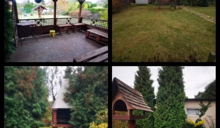 Działka rod Dąbrowa Górnicza, ul. Marii Konopnickiej