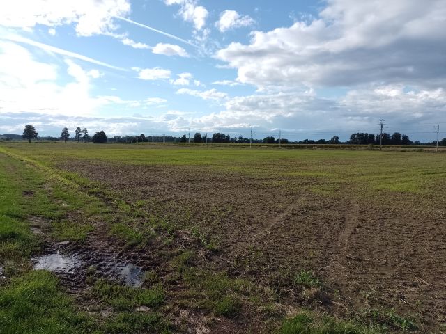 Działka rolna Siedliska, Różana. Zdjęcie 1