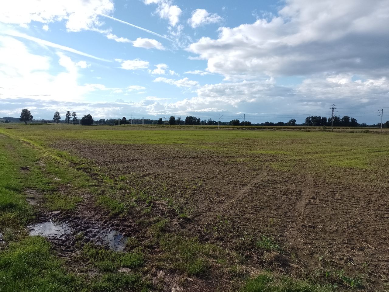 Działka rolna Siedliska, Różana. Zdjęcie 1