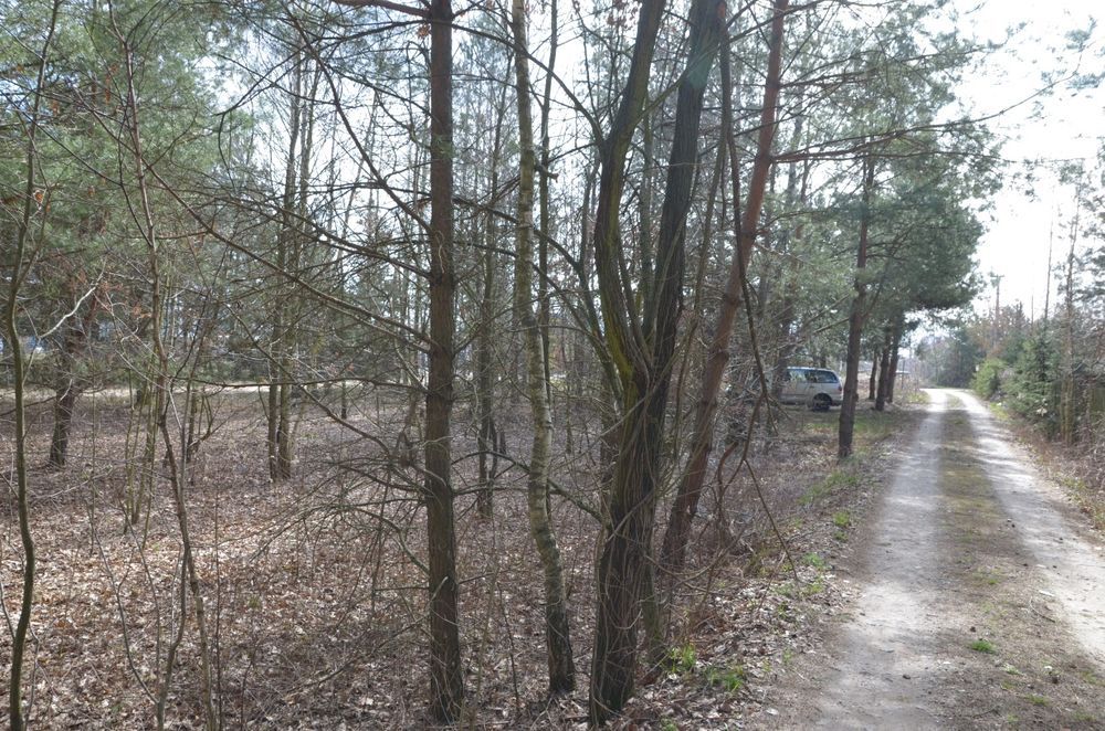 Działka budowlana Stanisławów. Zdjęcie 4