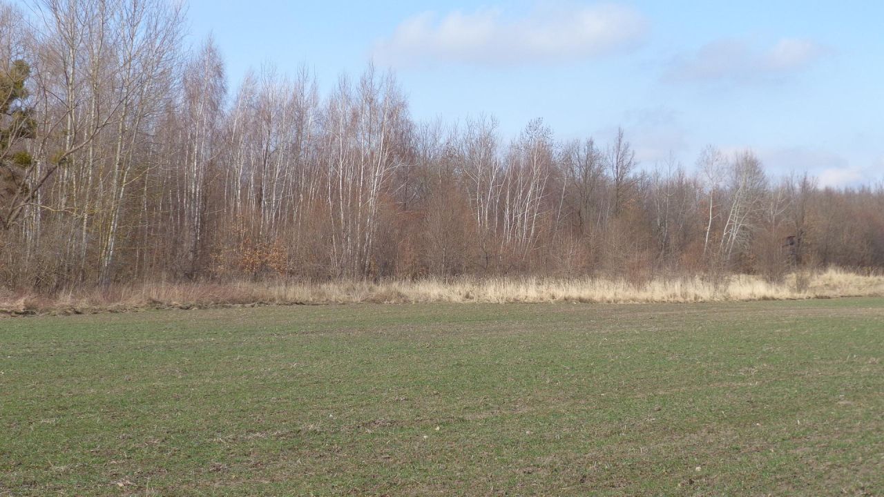 Działka rolno-budowlana Leśniczówka. Zdjęcie 3