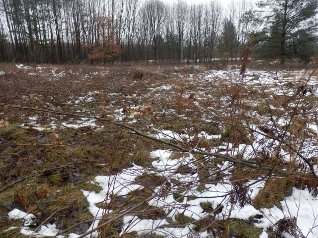 Działka budowlana Zawiercie Blanowice, ul. Gliniana. Zdjęcie 1