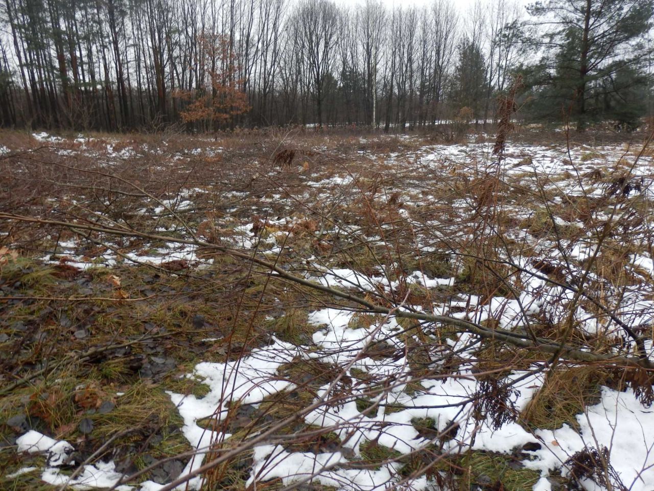 Działka budowlana Zawiercie Blanowice, ul. Gliniana. Zdjęcie 1