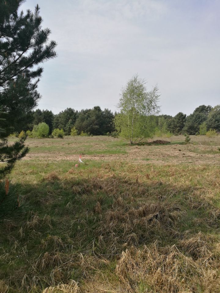 Działka budowlana Skórka. Zdjęcie 2