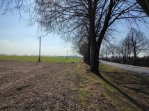 Działka rolno-budowlana Strączno. Zdjęcie 2