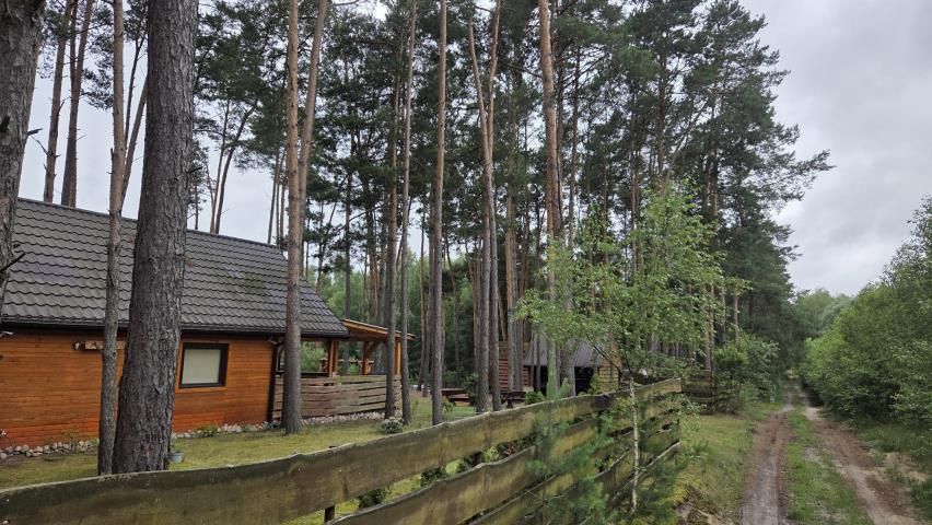 Działka leśna Królewo. Zdjęcie 2