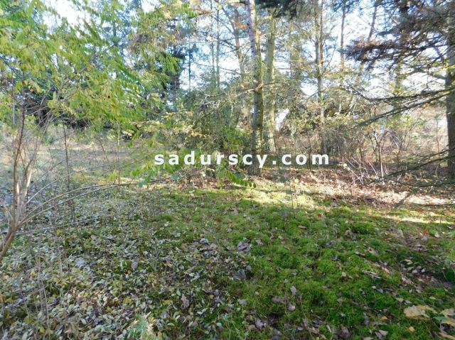 Działka budowlana Biały Ług. Zdjęcie 16