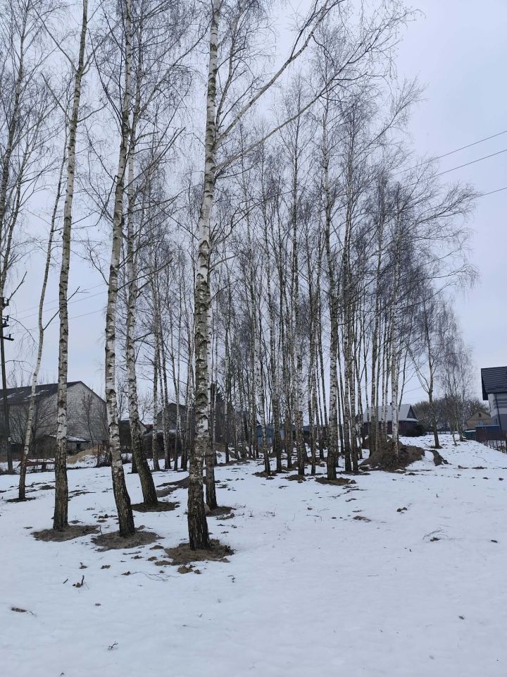 Działka budowlana Rogów Rogów Mały. Zdjęcie 5