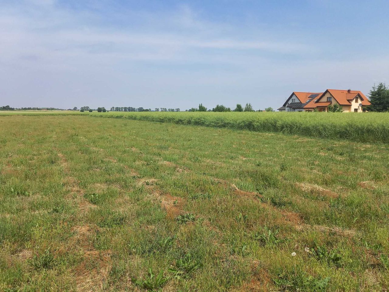 Działka budowlana Przemocze. Zdjęcie 2