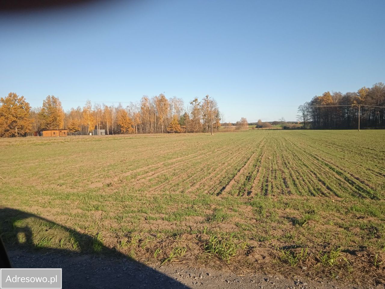 Działka budowlana Gzowice-Kolonia. Zdjęcie 5