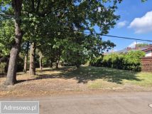 Działka budowlana Chotomów, ul. Niecała. Zdjęcie 4