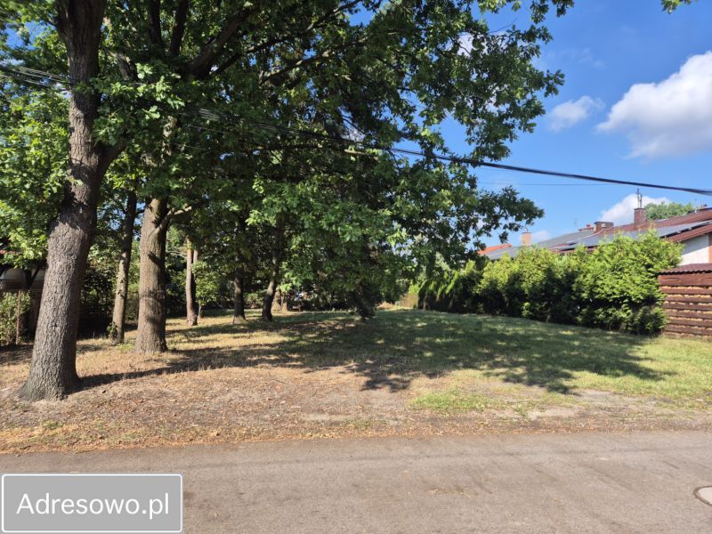 Działka budowlana Chotomów, ul. Niecała. Zdjęcie 5