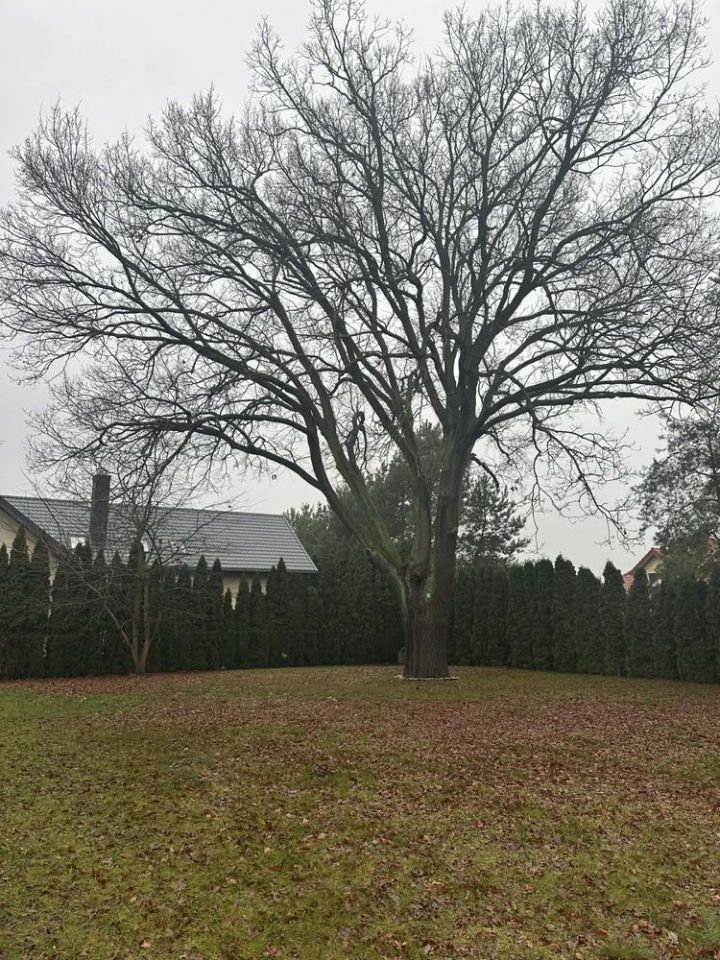 dom wolnostojący Grabina, ul. Jasna. Zdjęcie 2