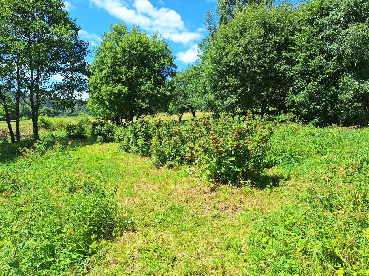 Działka rolno-budowlana Potoczek. Zdjęcie 15