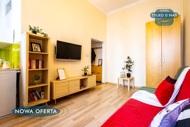 Mieszkanie 1-pokojowe Łódź Śródmieście, ul. płk. dr. Stanisława Więckowskiego. Zdjęcie 3